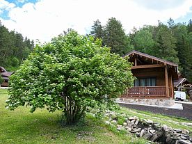 Фотогалерея на главной Фотогалерея на главной